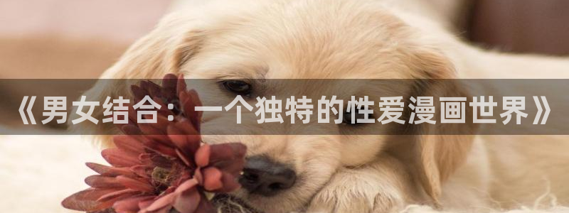 韩漫漫画官网入口：《男女结合：一个独特的性爱漫画世界》